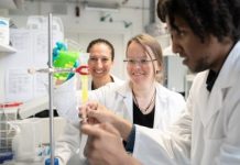 Research: New insights into the structure of a killer protein —