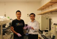 Tech: Perovskite solar cells leap toward commercialization — (Report)