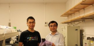 Tech: Perovskite solar cells leap toward commercialization — (Report)