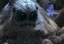 Giant Spider Web Is Taking Over This Entire Beach (Video) Giant Spider Web Is Taking Over This Entire Beach (Video)