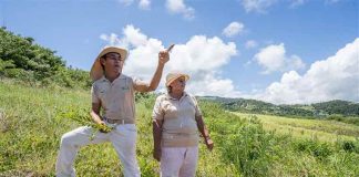 Jose Nolla Marrero: Puerto Rico teen had a business idea Jose Nolla Marrero: Puerto Rico teen had a business idea