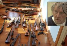 Nathan Brogan: guns seized from man accused of shooting San Diego Nathan Brogan: guns seized from man accused of shooting San Diego