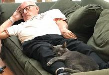 Terry Lauerman: ‘Cat grandpa’ caught snuggling Terry Lauerman: 'Cat grandpa' caught snuggling