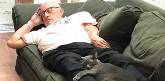Terry Lauerman: ‘Cat grandpa’ caught snuggling Terry Lauerman: 'Cat grandpa' caught snuggling