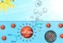 Research: Eco-friendly nanoparticles for artificial photosynthesis —