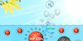 Research: Eco-friendly nanoparticles for artificial photosynthesis —