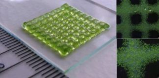 Research: 3-D bioprinting of living structures with built-in chemical sensors —