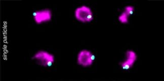 Research: Super-resolution microscopy builds multicolor 3-D from 2-D —