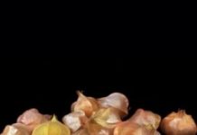 Research: This wild plant could be the next strawberry —