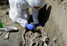 Research: Eighth-century skeleton found at Torcello —