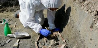 Research: Eighth-century skeleton found at Torcello —