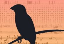 Tech: Mathematical models describes distribution of sensory errors — (Report)