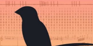 Tech: Mathematical models describes distribution of sensory errors — (Report)