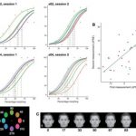 Study: Study demonstrates how the brain learns to recognize an individual face regardless of where it appears in space — (Details)