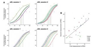 Study: Study demonstrates how the brain learns to recognize an individual face regardless of where it appears in space — (Details)