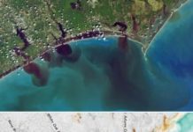 Offbeat: Machine learning to aid environmental monitoring —