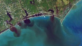 Offbeat: Machine learning to aid environmental monitoring —