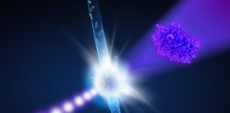 Research: First experiments at new X-ray laser reveal unknown structure of antibiotics killer —