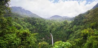 Research: Most don’t last long enough to provide habitat for many forest species —