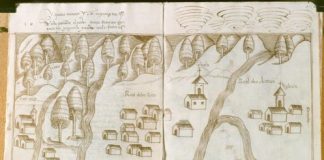 Research: All the examples were done using a quill pen, and correspond to different mining areas of Mexico between 1579 and 1580 —