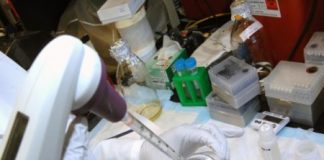 Study: Research enhances ability to study biology of persistent public health problem — (Details)