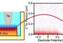Tech: Imaging accumulated charges at solid-electrolyte interfaces — (Report)