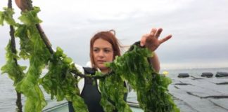 Research: The findings may help understand ‘winners and losers’ under climate change —