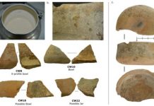 Research: Cuisine of early farmers revealed by analysis of proteins in pottery from Çatalhöyük —
