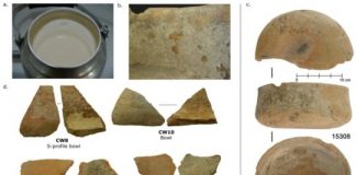 Research: Cuisine of early farmers revealed by analysis of proteins in pottery from Çatalhöyük —