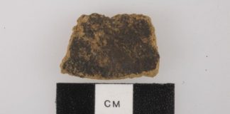 Research: 3,500-year-old pumpkin spice? Archaeologists find the earliest use of nutmeg as a food —