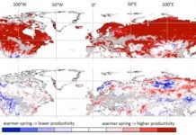 Research: A warmer spring leads to less plant growth in summer —