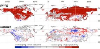 Research: A warmer spring leads to less plant growth in summer —