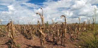 Research: Study examines role of stationary low- and high-pressure systems —