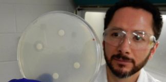 Tech: Common herbicide compound may save millions of lives — (Report)