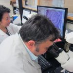 Study: Researchers study effects of oral bacteria on brain health in mice — (Details)