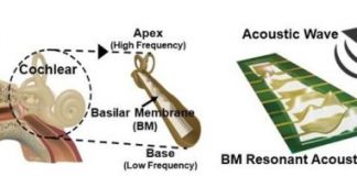 Study: Flexible piezoelectric acoustic sensors for speaker recognition — (Details)