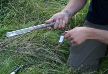 Research: The homing instinct of relocated snakes —