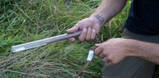 Research: The homing instinct of relocated snakes —