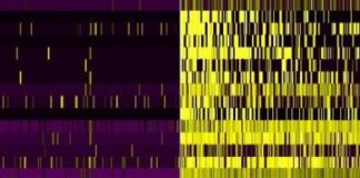 Study: Specific cells and genes may be potential treatment targets — (Details)