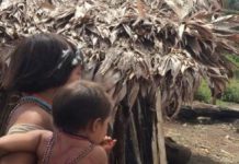 Research: Planet-wide loss of microbiota diversity is a health threat comparable to climate change —