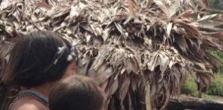 Research: Planet-wide loss of microbiota diversity is a health threat comparable to climate change —