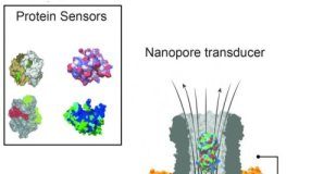 Study: New method measures single molecules from nanoliter of blood in real time — (Details)