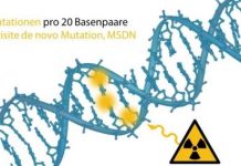 Research: Typical mutations in children of radar soldiers —