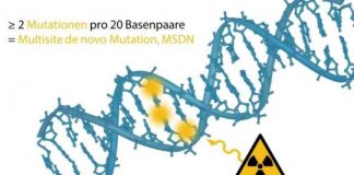 Research: Typical mutations in children of radar soldiers —