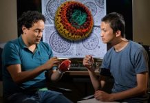 Research: Small molecule as potential treatment target —