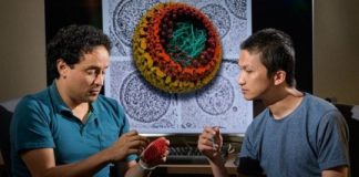 Research: Small molecule as potential treatment target —