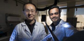 Tech: Part-organic invention can be used in bendable mobile phones — (Report)