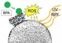 Tech: Reusable water-treatment particles effectively eliminate BPA — (Report)