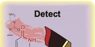 Study: Study improves decades-old method — (Details)