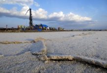 Research: Drier, less predictable environment may have spurred human evolution —